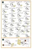 Clear Prop Accessories Be-6 Madge painting mask for Trumpeter kit - kabin- és ablakmaszk