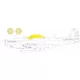 Eduard Accessories P-51D  EDUARD - kabin- és ablakmaszk
