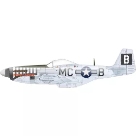 Eduard Accessories P-51D-5 8th AF   EDUARD - matricakészlet