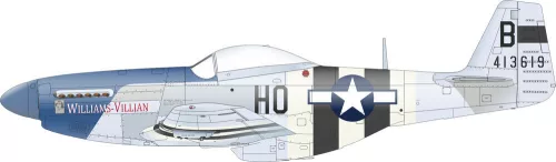 Eduard Accessories P-51D-5 8th AF   EDUARD - matricakészlet
