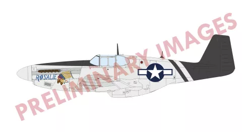 Eduard Sharks and Stallions – P-40N Warhawk + P-51B/C Mustang Dual Combo Limited Edition 1:48 repülőgép makett