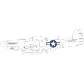   Eduard Accessories P-51D national insignia 1/48 EDUARD - felségjel-festő maszk
