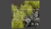 Gamers Grass TUFTS Realisztikus DRY GREEN XL- száraz zöld színű fűcsomók diorámához 36 darab (12 mm self-adhesive -DRY GREEN XL)
