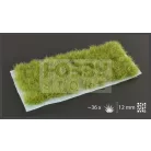 Gamers Grass TUFTS Realisztikus DRY GREEN XL- száraz zöld színű fűcsomók diorámához 36 darab (12 mm self-adhesive -DRY GREEN XL)