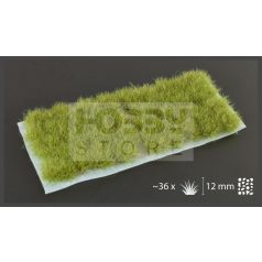   Gamers Grass TUFTS Realisztikus DRY GREEN XL- száraz zöld színű fűcsomók diorámához 36 darab (12 mm self-adhesive -DRY GREEN XL)