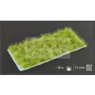 Gamers Grass TUFTS Realisztikus JungleXL-Dzsungel Zöld színű fűcsomók diorámához (12 mm self-adhesive -Jungle XL)