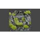 Gamers Grass TUFTS Realisztikus Moss-Moha színű fűcsomók diorámához (2 mm self-adhesive -Moss)
