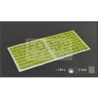 Gamers Grass TUFTS Realisztikus Moss-Moha színű fűcsomók diorámához-Small 144 darab (2 mm self-adhesive -Moss)