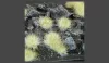 Gamers Grass TUFTS Realisztikus Winter színű fűcsomók diorámához-Small 144 darab (5 mm self-adhesive - Winter)