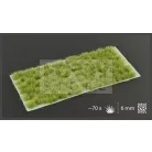 Gamers Grass TUFTS Realisztikus Dry Green színű fűcsomók diorámához (6 mm self-adhesive - DRY GREEN)