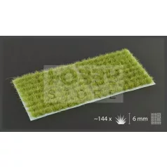   Gamers Grass TUFTS Realisztikus Dry Green színű fűcsomók diorámához-Small 144 darab (6 mm self-adhesive - DRY GREEN)