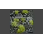 Gamers Grass TUFTS Realisztikus Dry Green színű fűcsomók diorámához-Small 144 darab (6 mm self-adhesive - DRY GREEN)