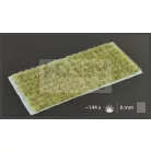Gamers Grass TUFTS Realisztikus Light Brown színű fűcsomók diorámához-Small 144 darab (6 mm self-adhesive - Light Brown)