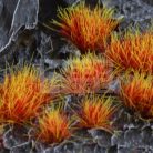 GAMERS GRASS ALIEN TUFT (FIRE) - scifi témájú fűcsomók diorámákhoz-figurákhoz (6 mm self-adhesive - Alien Fire)