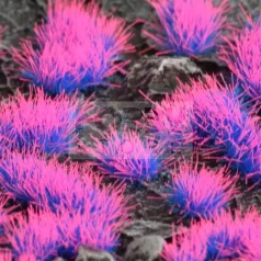   GAMERS GRASS ALIEN TUFT (NEON) - scifi témájú fűcsomók diorámákhoz-figurákhoz (6 mm self-adhesive - Alien Neon)