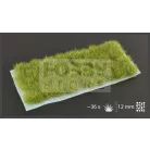 GAMERS GRASS SHRUBS TUFTS (XL) Realisztikus zöld színű bokrok diorámához (12 mm self-adhesive - Dense Green XL)