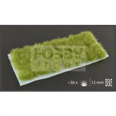   GAMERS GRASS SHRUBS TUFTS (XL) Realisztikus zöld színű bokrok diorámához (12 mm self-adhesive - Dense Green XL)
