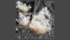 GAMERS GRASS SPIKEY TUFTS Realisztikus Winter-téli színű tüskés bokrok diorámához 70 darab (12 mm self-adhesive - Spikey Winter)