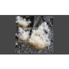 GAMERS GRASS SPIKEY TUFTS Realisztikus Winter-téli színű tüskés bokrok diorámához 70 darab (12 mm self-adhesive - Spikey Winter)