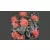 GAMERS GRASS BLOSSOM TUFTS Realisztikus piros színű virágcsomók diorámához (4-6 mm self-adhesive - Red Flowers)