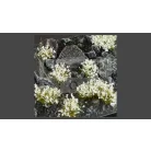 GAMERS GRASS BLOSSOM TUFTS Realisztikus fehér színű virágcsomók diorámához (4-6 mm self-adhesive - White Flowers)
