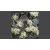 GAMERS GRASS BLOSSOM TUFTS Realisztikus fehér színű virágcsomók diorámához (4-6 mm self-adhesive - White Flowers)