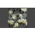 GAMERS GRASS BLOSSOM TUFTS Realisztikus fehér színű virágcsomók diorámához (4-6 mm self-adhesive - White Flowers)