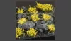 GAMERS GRASS BLOSSOM TUFTS Realisztikus sárga színű virágcsomók diorámához (4-6 mm self-adhesive - Yellow Flowers)