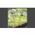 GAMERS GRASS GREEN MEADOW SET - Realisztikus fűcsomó szett diorámához 140 darab (4-6 mm self-adhesive - Green Meadow Set)