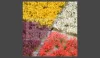GAMERS GRASS MIXED FLOWER SET - Realisztikus virágcsomó szett diorámához 140 darab (4-6 mm self-adhesive - Mixed Flower Set)
