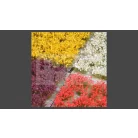 GAMERS GRASS MIXED FLOWER SET - Realisztikus virágcsomó szett diorámához 140 darab (4-6 mm self-adhesive - Mixed Flower Set)