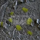 Gamers Grass TINY TUFTS Realisztikus 2mm-es Dry Green színű fűcsomók diorámához-Small 500 darab (2 mm self-adhesive -Dry Green)