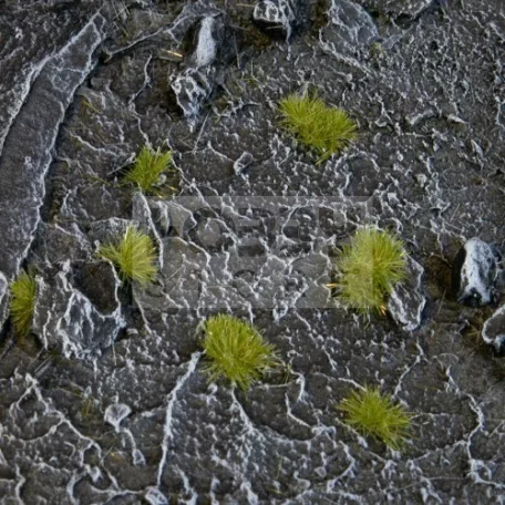 Gamers Grass TINY TUFTS Realisztikus 2mm-es Dry Green színű fűcsomók diorámához-Small 500 darab (2 mm self-adhesive -Dry Green)