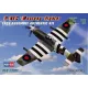 HobbyBoss P-51C 'Mustang' vadászgép 1:72 makett