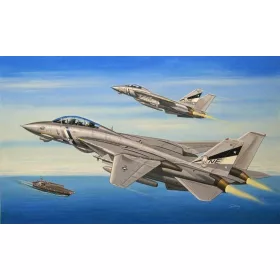 HobbyBoss F-14D Super Tomcat 1:72 repülőgép makett