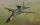HobbyBoss F-111D/E Aardvark 1:48 repülőgép makett
