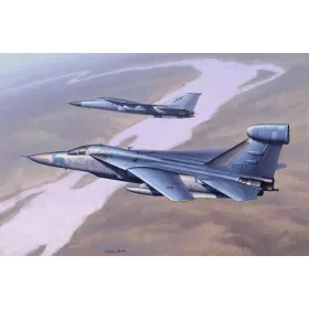 HobbyBoss EF-111 Raven 1:48 repülőgép makett