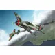 HobbyBoss brit Fleet Air Arm Hellcat Mk.I 1:48 repülőgép makett