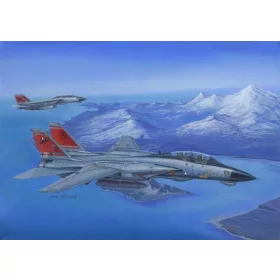 HobbyBoss F-14D Super Tomcat 1:48 repülőgép makett