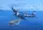HobbyBoss F4U-4B Corsair 1:48 repülőgép makett