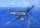 HobbyBoss F4U-5 Corsair 1:48 repülőgép makett