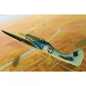 HobbyBoss Focke-Wulf FW 190D-11 1:48 repülőgép makett