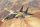 HobbyBoss Persian Cat F-14A TomCat-IRIAF 1:48 repülőgép makett