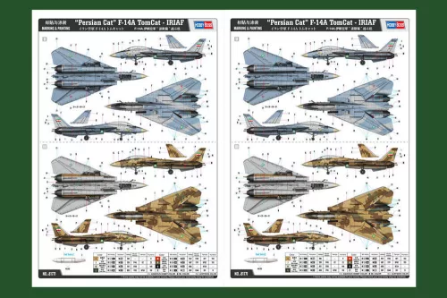 HobbyBoss Persian Cat F-14A TomCat-IRIAF 1:48 repülőgép makett