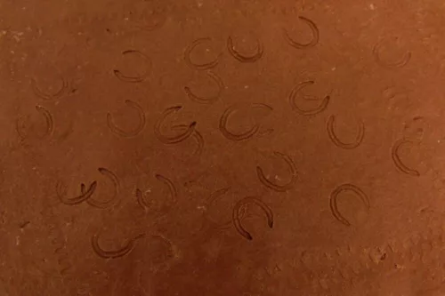 Hauler HORSESHOES – dioráma kellék makett