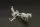 Hauler Grass chopper MELICHAR w horse – járműmakett