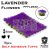 Paint Forge Lavender 6 mm-es realisztikus virágcsomók diorámákhoz-figurákhoz (70 db) PFFL2632