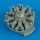 Quickboost T-28 Trojan engine for Roden - motor