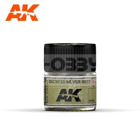 AK-Interactive Real Color - festék - BSC Nº28 SILVER GREY - RC038