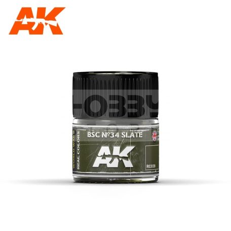 AK-Interactive Real Color - festék - BSC Nº34 SLATE - RC039